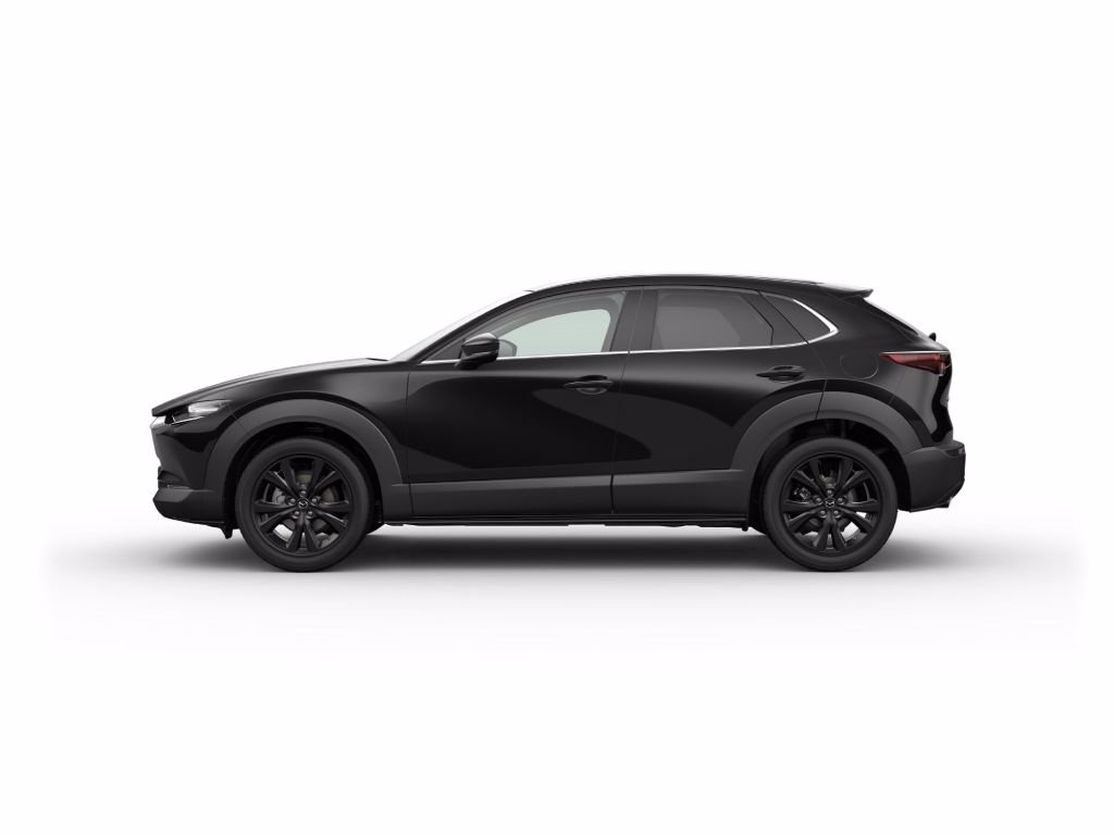 MAZDA Cx-30 2.0 m-hybrid homura 2wd 186cv 6mt