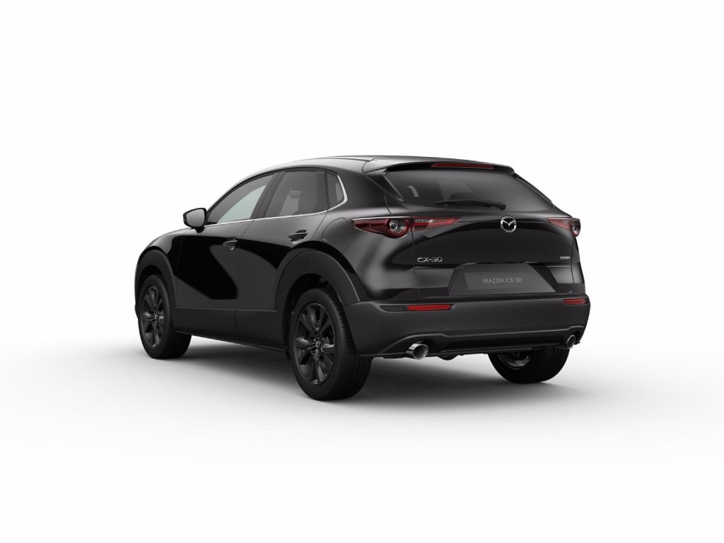 MAZDA Cx-30 2.0 m-hybrid homura 2wd 186cv 6mt